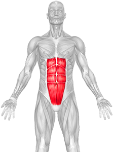 Target Muscle Abs