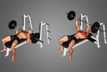 Barbell Bench Press