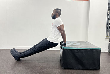 Bench Dips