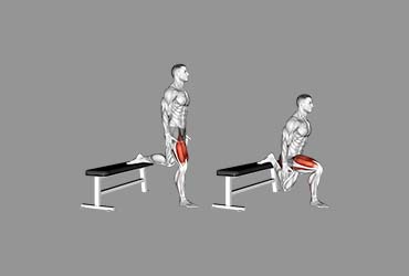 Bulgarian Split Squat