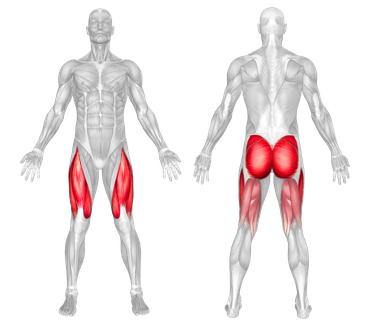 Target Muscle Group