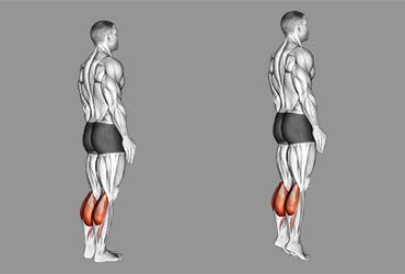 Standing Calf Raises