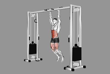 Hanging Leg Raises