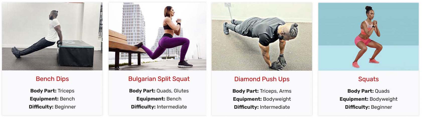 Exercise Database Screen Shot