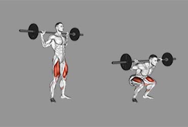 Barbell Squats