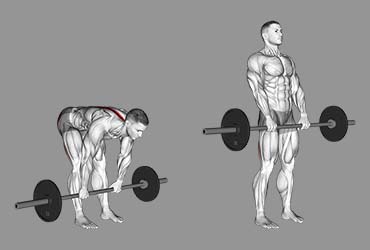 Barbell Stiff Leg Deadlift