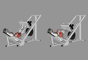45-Degree Leg Press