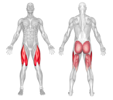 Target Muscles Quads - Secondary Glutes, Hamstrings