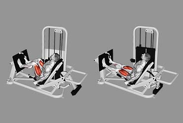 Seated Leg Press