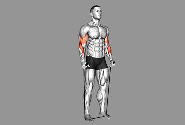 Band Hammer Curls