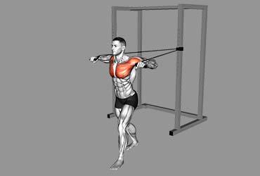 Band Standing Chest Press
