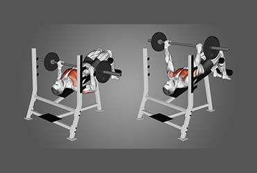 Decline Bench Press
