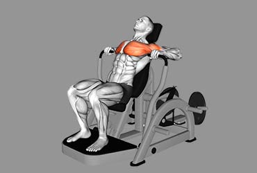 Decline Chest Press Machine