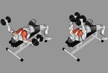 Dumbbell Flys