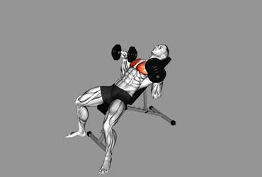 Dumbbell Incline Bench Press