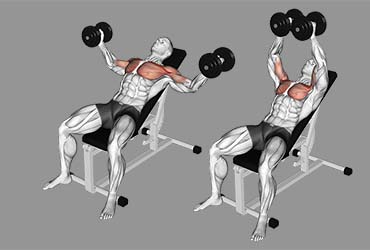 Dumbbell Incline Fly