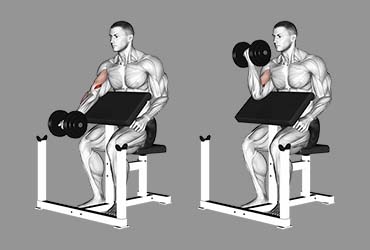 Dumbbell Preacher Curl