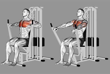Lever Chest Press