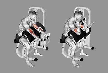 Preacher Curl Machine