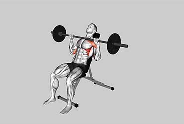 Barbell Incline Shoulder Press