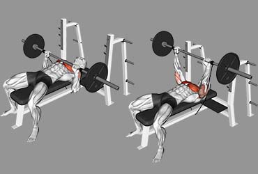 Barbell Banded Bench Press