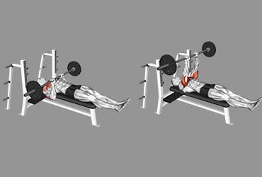 Barbell Close Grip Larsen Press
