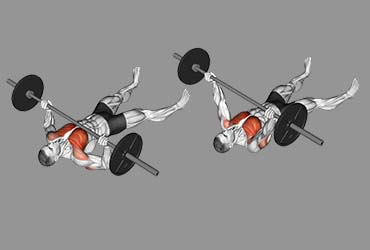 Scapular Stabilizers