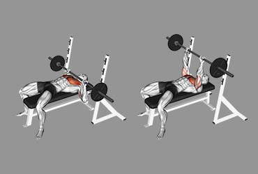 Barbell Guillotine Press