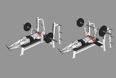 Barbell Larsen Press