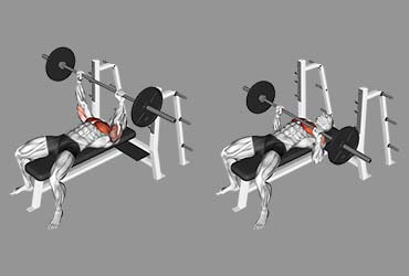 Barbell Pause Bench Press