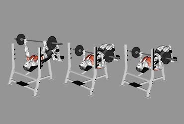 Barbell Pause Decline Bench Press