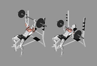 Barbell Pause Incline Bench Press