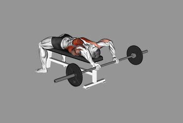 Barbell Pullover With Bench Press