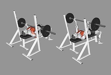 Barbell Reverse Grip Bench Press