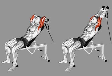Cable Incline Triceps Extension