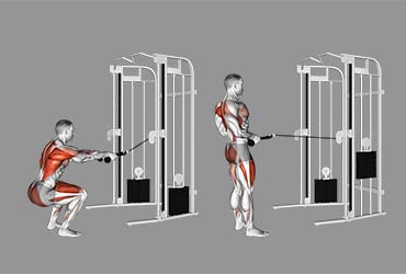 Cable Squat Row