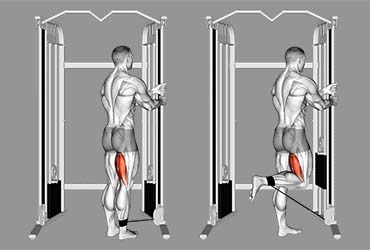 Cable Standing Leg Curl