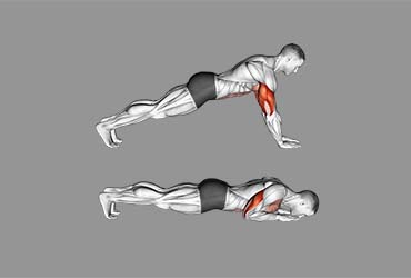 Forearms Push-Up