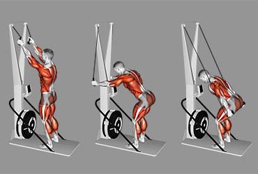 Ski Ergometer