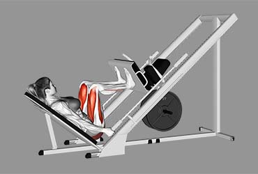 Sled 45 Degrees Leg Press
