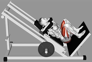 Sled Hack Squat