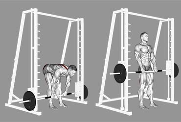 Smith Machine Stiff-Leg Deadlift