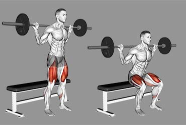 Barbell Bench Squat