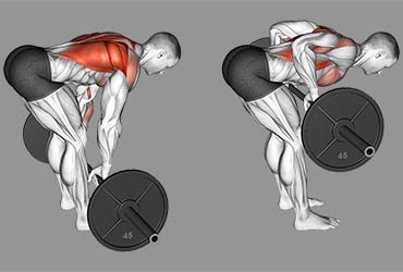 Barbell Bent Over Row