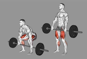Barbell Deadlift