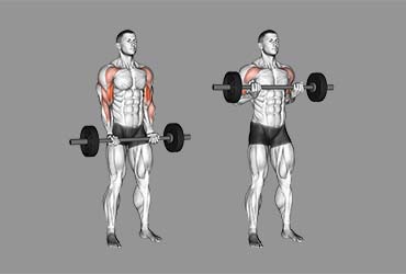 Barbell Drag Curl